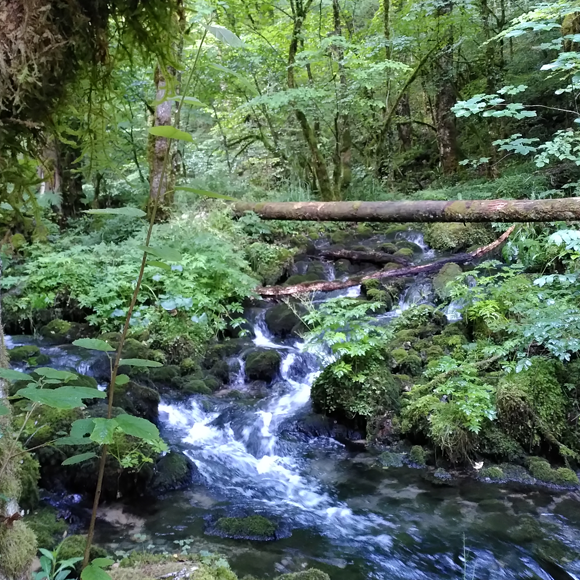 Centre Soins Energetiques Jura
